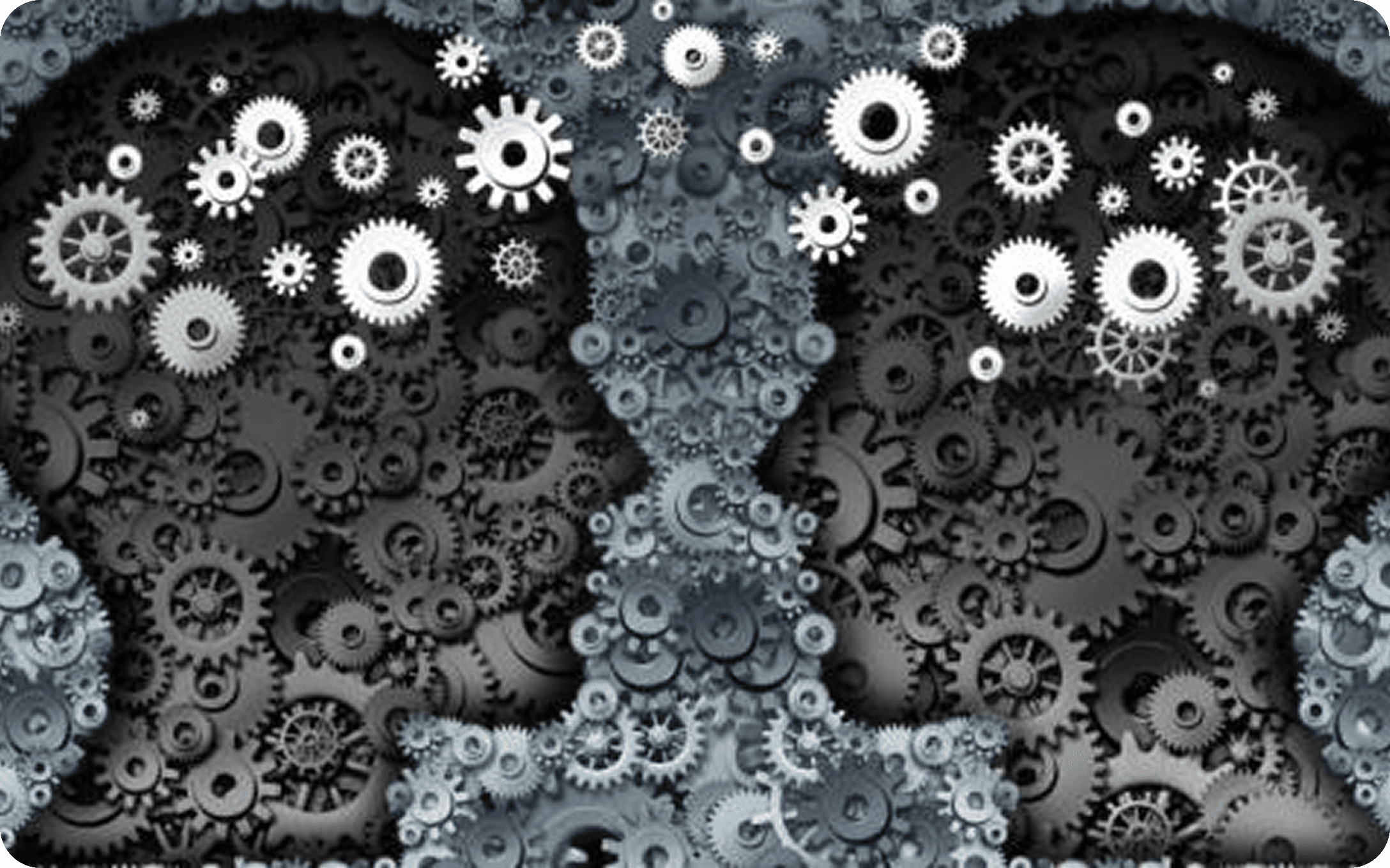 Machine Learning Bootcamp